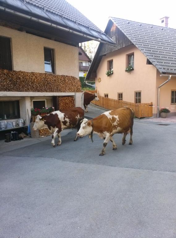 Apartmaji Matej Cvetek Bohinj Zewnętrze zdjęcie